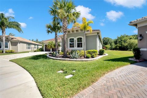 A home in WIMAUMA