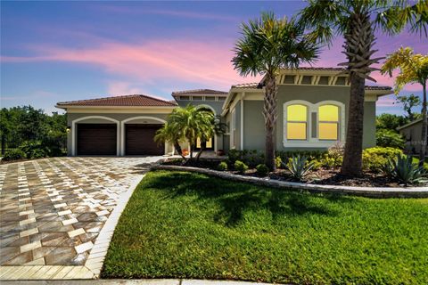 A home in WIMAUMA