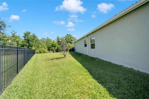 A home in WIMAUMA