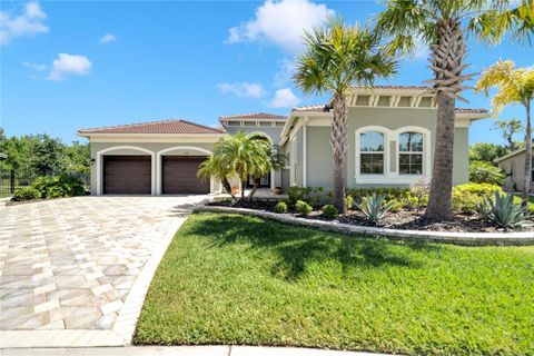 A home in WIMAUMA