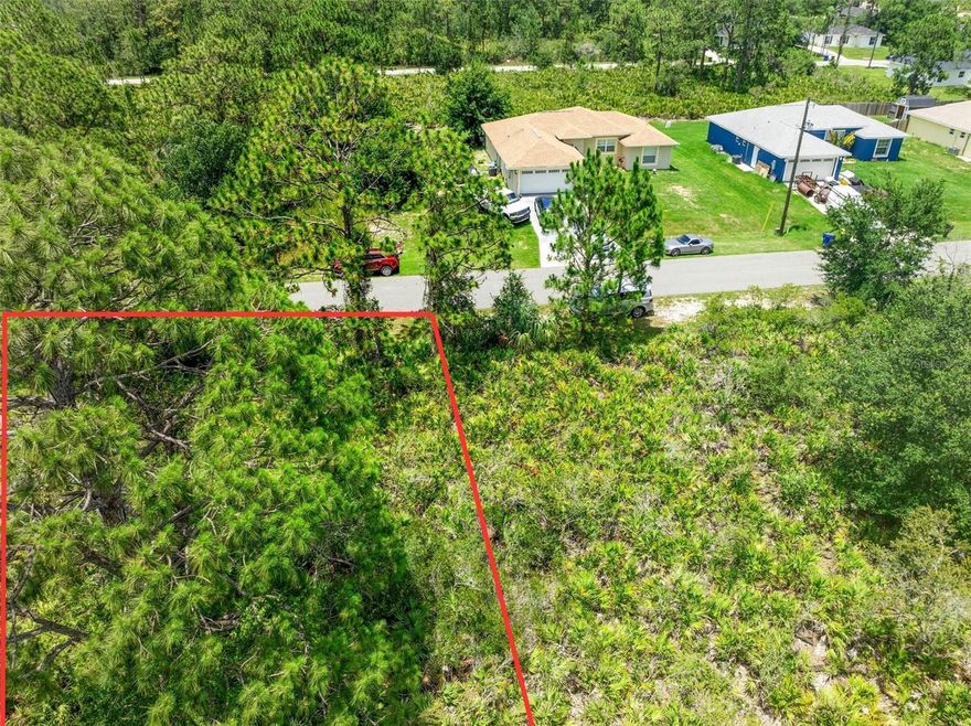Welcome to your future homesite! this peaceful lot sits in a growing Lake Placid neighborhood with a mix of new homes and natural beauty. Enjoy the quiet surroundings with shops and restaurants just a short drive away. A perfect place to build or invest!