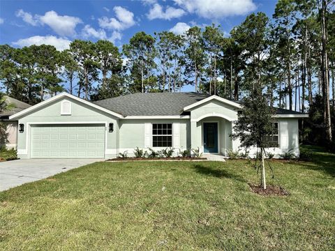 A home in PALM COAST