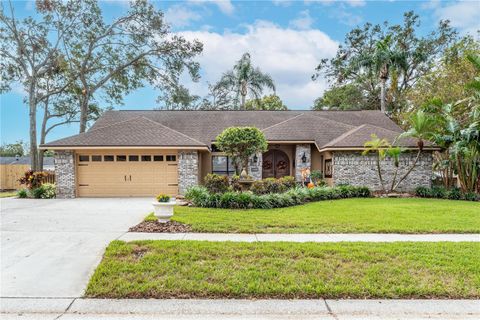 A home in VALRICO