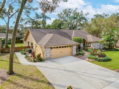 A home in VALRICO