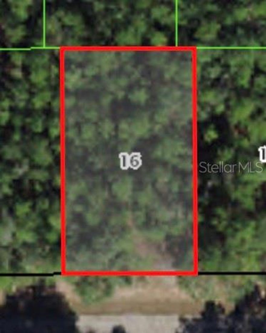 Beautiful lot to build your dream home