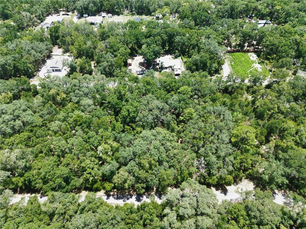 Photo of Tbd SW Fisher Lane Drive, Ocklawaha, FL 32179 (MLS # OM706903)
