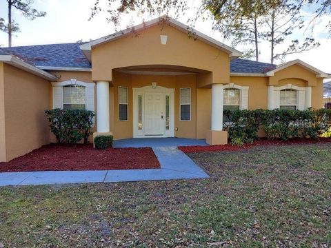 A home in PALM COAST