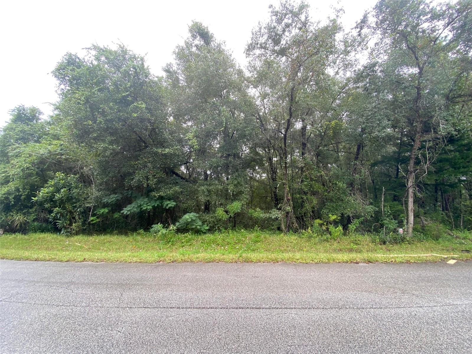 Fantastic lot in the thriving community of Citrus Springs! This homes-only subdivision offers the perfect setting for your dream home. The property sits high and dry at over 80 ft above sea level, directly across from a beautiful new home. Citrus Springs is a popular golf community featuring a community center, tennis courts, playgrounds, and parks. The Withlacoochee State Trail, a scenic north-to-south bicycle trail, runs right through the area. Public water lines are available, and power poles are already on the street for easy utility access. Enjoy being just minutes from the Rainbow River State Park while still having the convenience of nearby amenities. Don’t miss this opportunity to build your Florida dream home!
