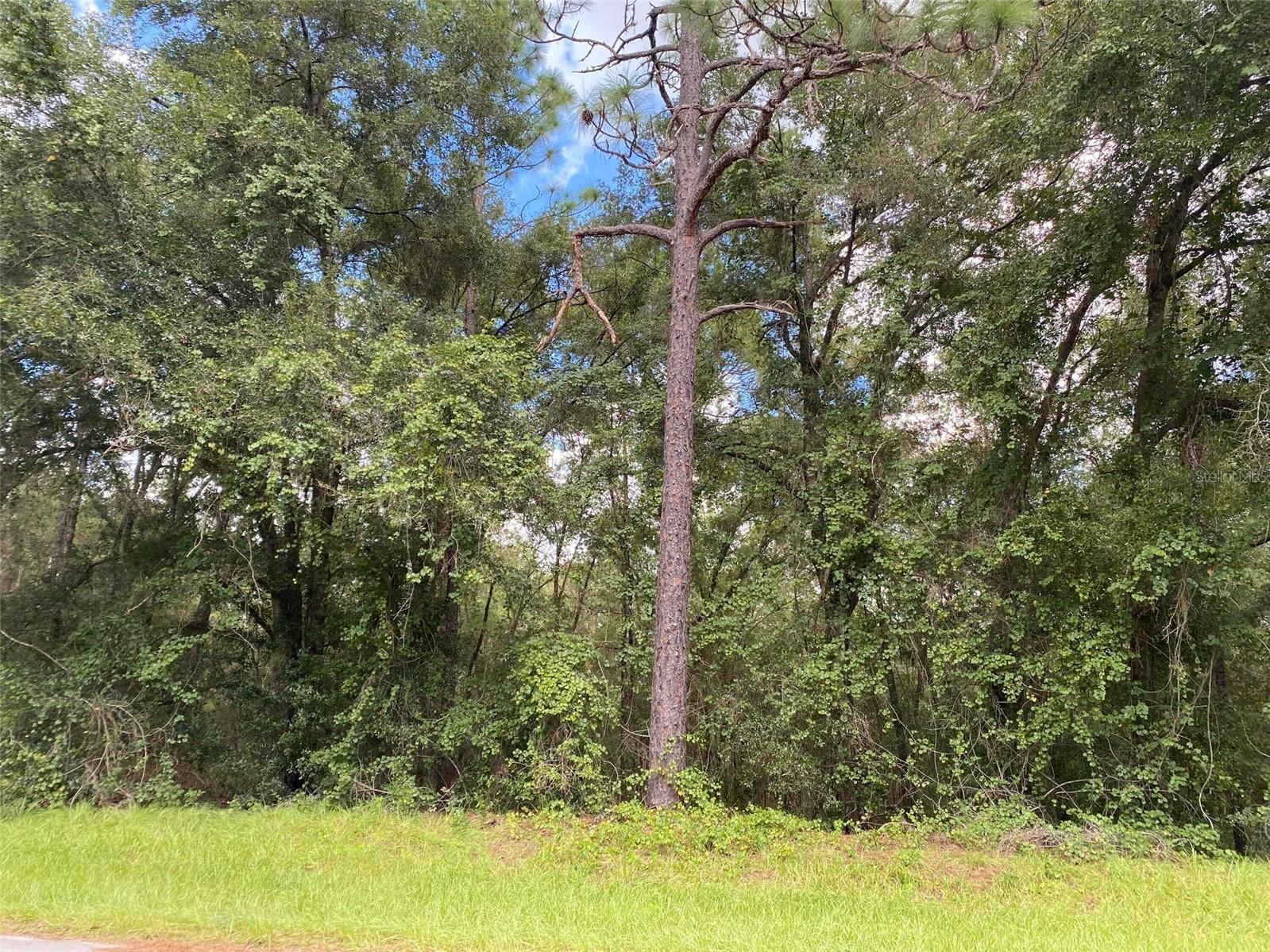 CITRUS SPGS UNIT 20 - Land