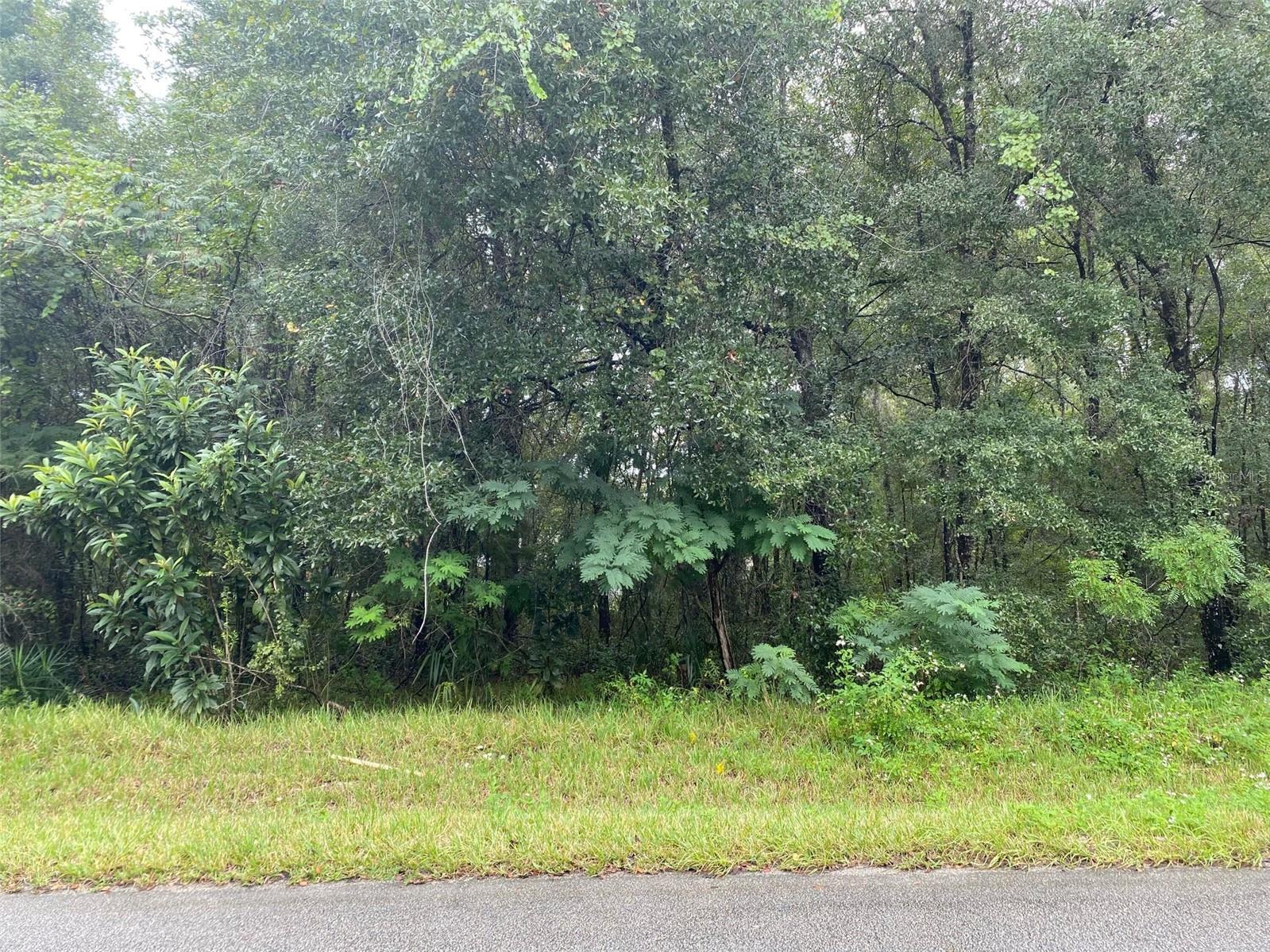 CITRUS SPGS UNIT 20 - Land