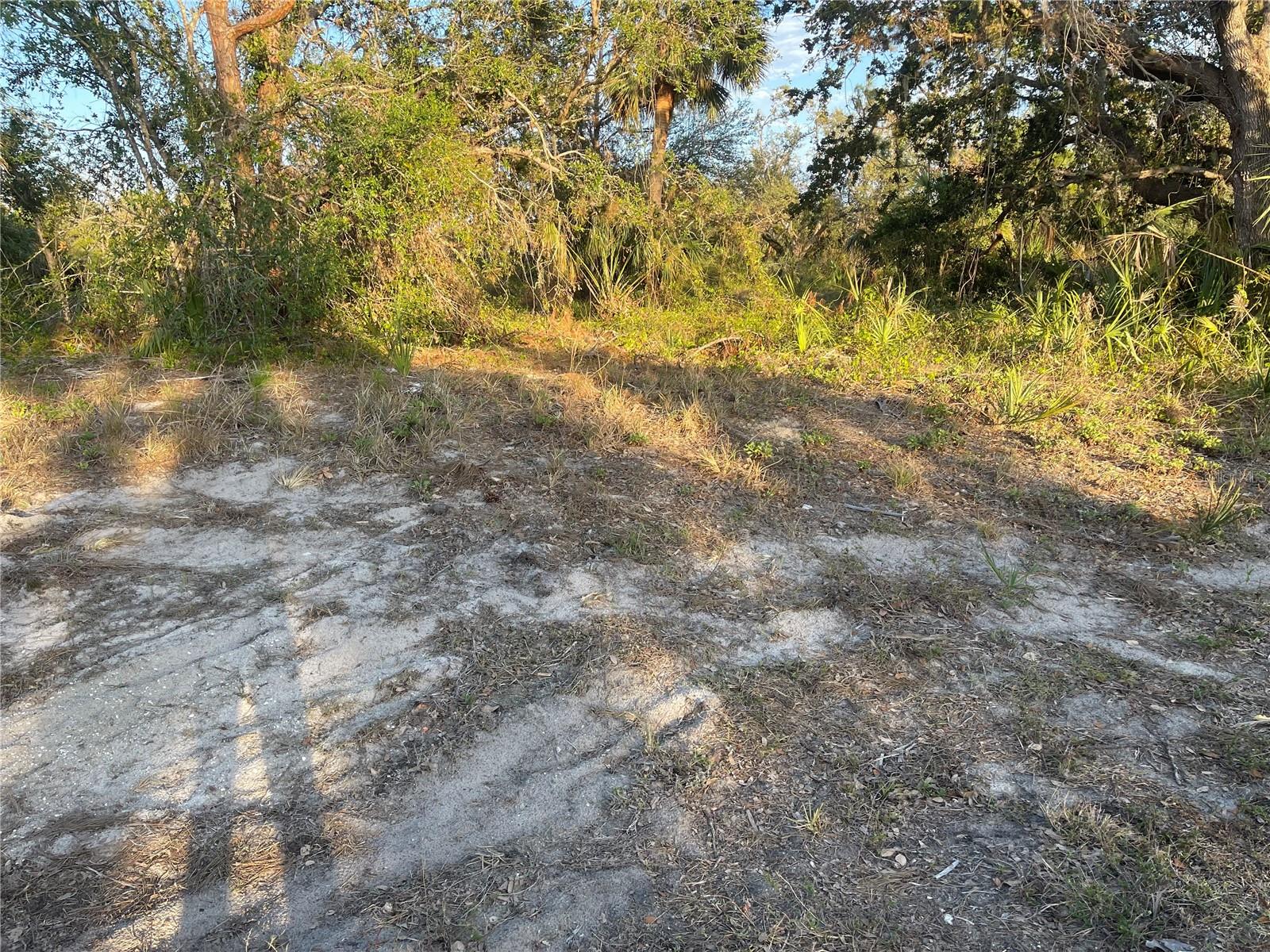Nice buildable lot! Very quiet area! Geen belt in the back! Close to shopping centers, public beaches and Warm Mineral Spring Resort! Come and build you dream home!!! Next lot 15 is for sale with same seller!