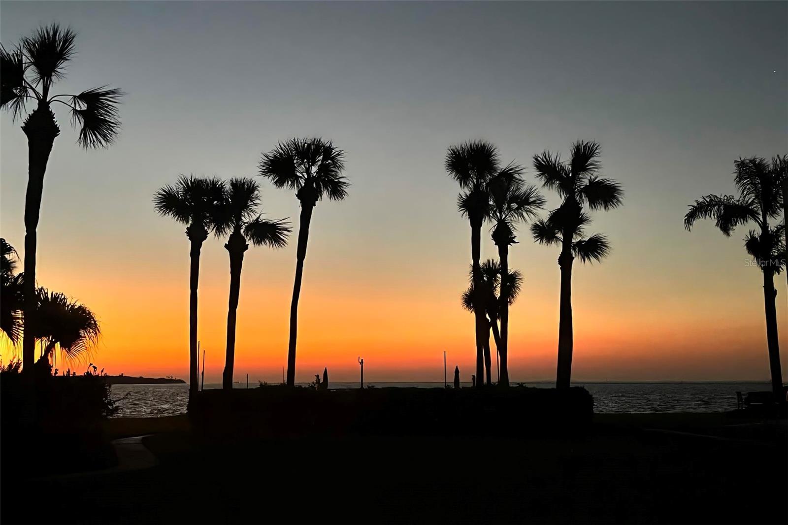 SEAPOINTE TERRACE CONDO - Residential