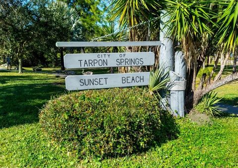 A home in TARPON SPRINGS