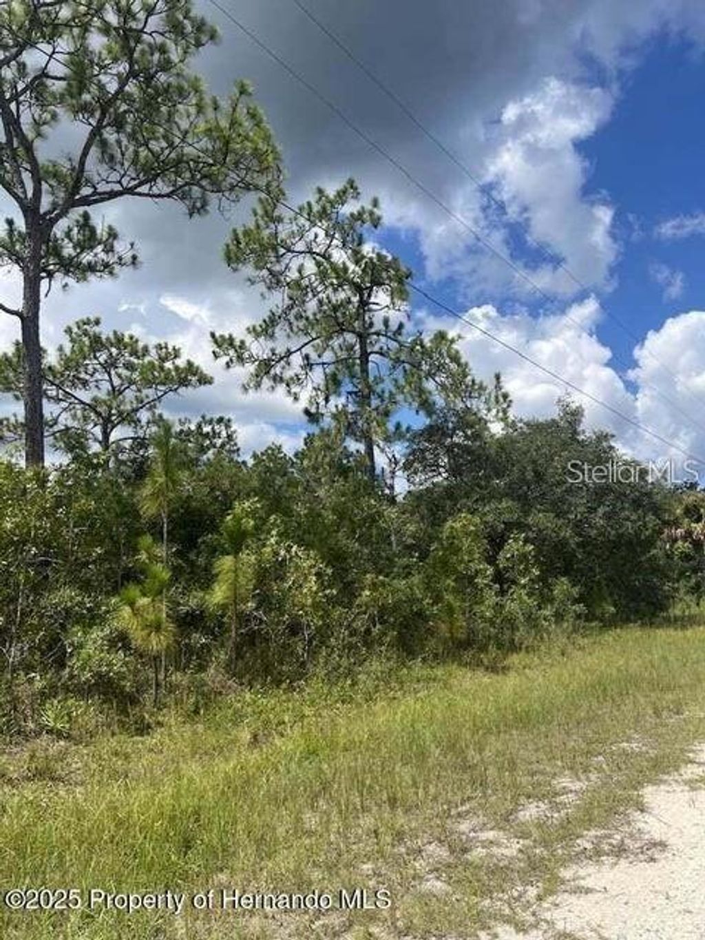 Photo of 10194 Yellow Frog Avenue, Weeki Wachee, FL 34614 (MLS # TB8488595)