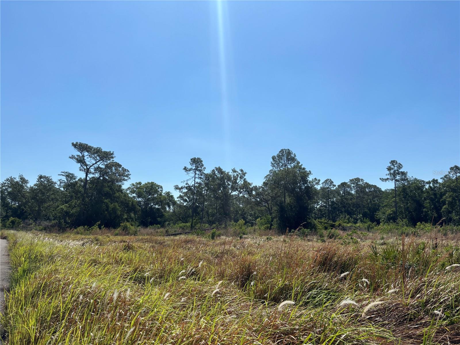 TOWN OF CITRUS PARK - Land