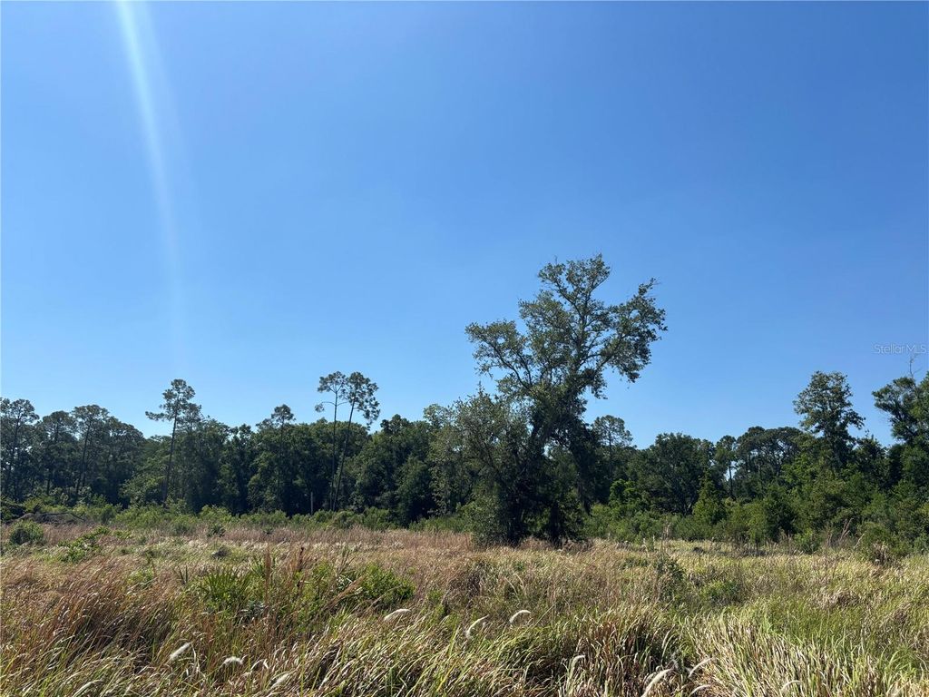 Photo of Avonwood, Tampa, FL 33625 (MLS # S5148228)