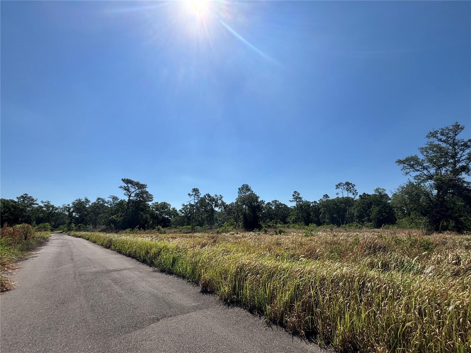 TOWN OF CITRUS PARK - Land