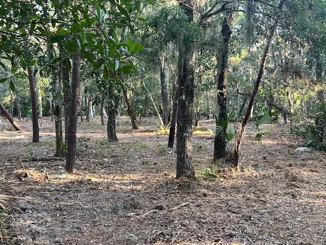 5751 JOHN ANDERSON HWY