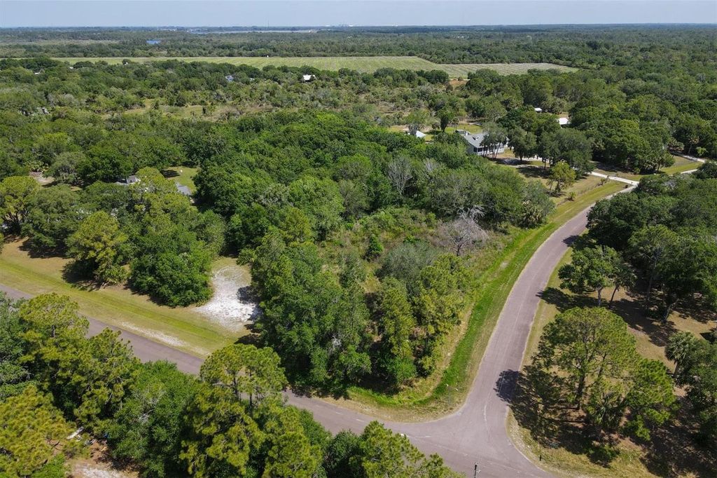 Photo of 1729 Shenandoah Road, Wimauma, FL 33598 (MLS # A4691213)