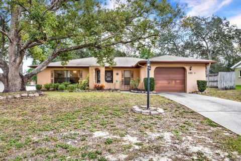 Photo of 1180 Macfarlane Avenue, Spring Hill, FL 34608 (MLS # TB8458477)