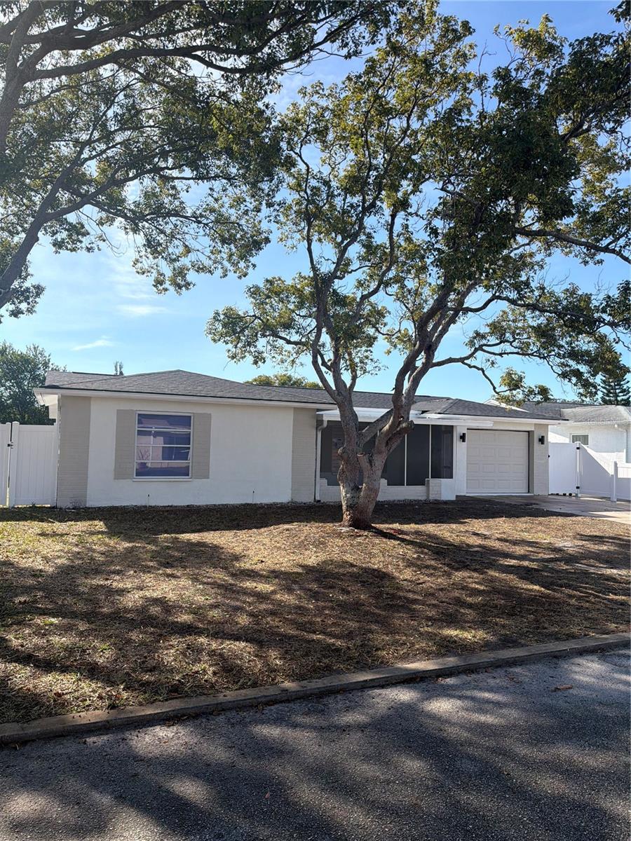 PALM TERRACE GARDENS - Residential