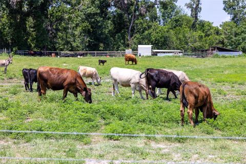 21455 US HWY 98 DADE CITY FL 33523