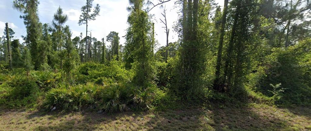 Photo of 438 Wickham Avenue S, Lehigh Acres, FL 33974 (MLS # O6291480)