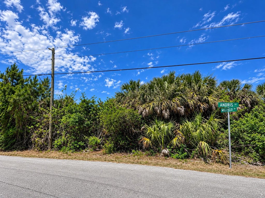 Photo of Andris Street, North Port, FL 34288 (MLS # A4708991)