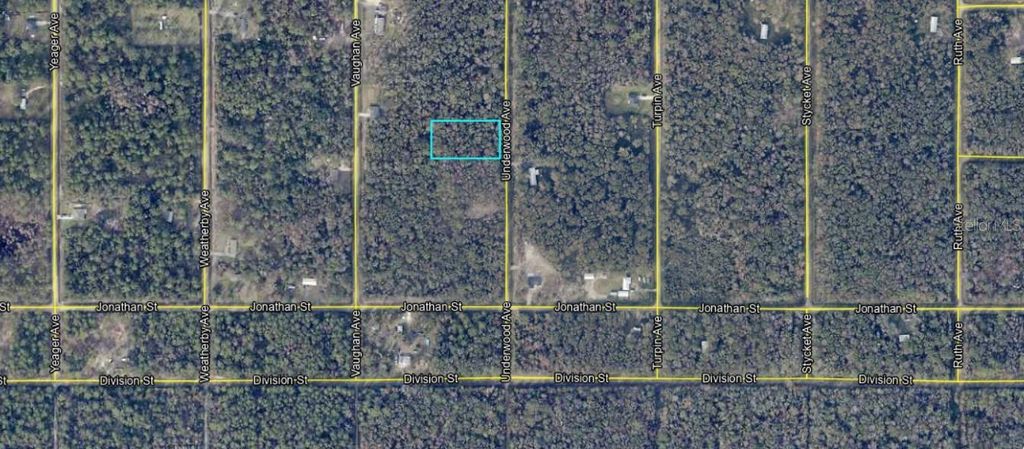 Photo of 10695 Underwood Avenue, Hastings, FL 32145 (MLS # C7518933)