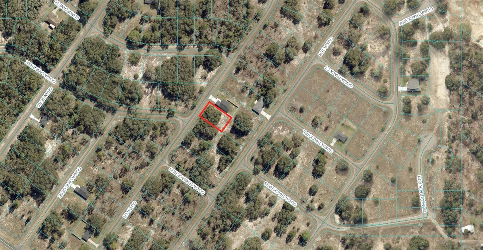 Desirable Silver Springs Shores East - Ocklawaha 1/4 ac lot