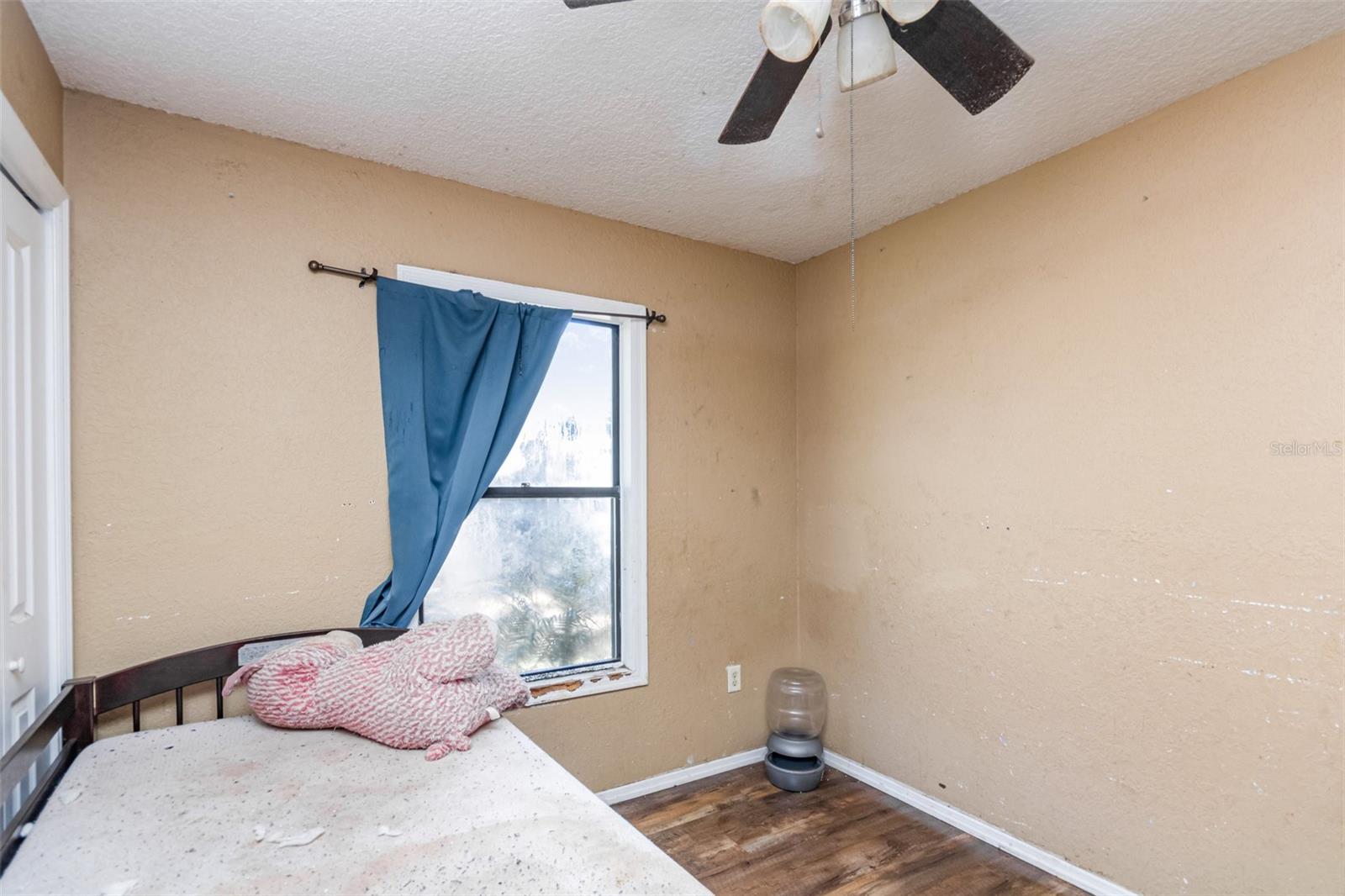 MOUNT PLYMOUTH - Residential