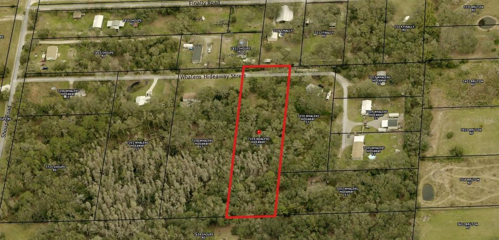 Photo of 7104 Whalens Hideaway Street, Plant City, FL 33565 (MLS # O6353269)