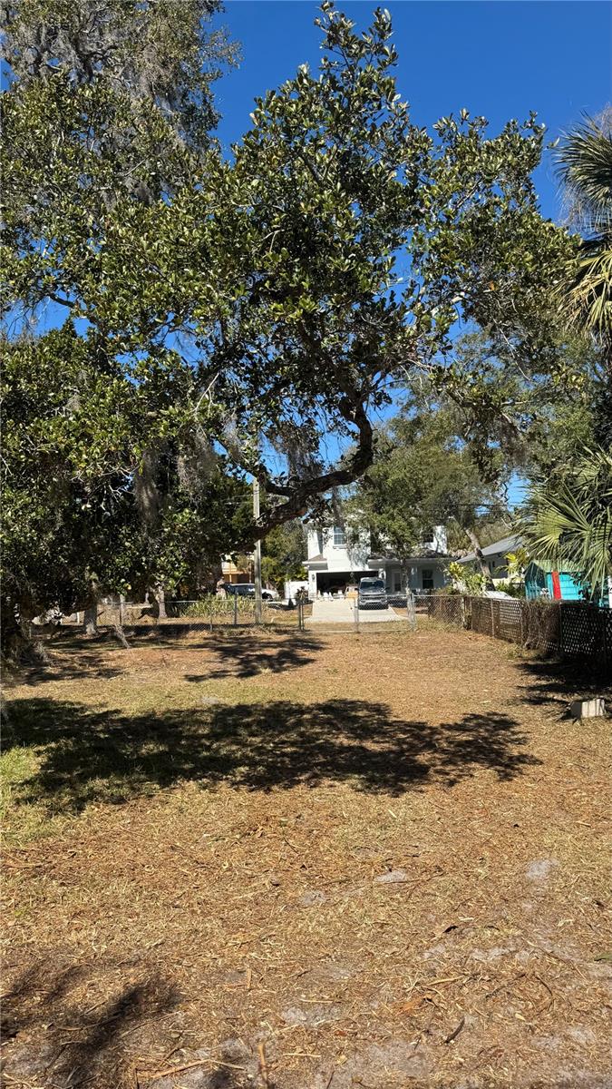 SOUTH GREEN SPGS REP - Land