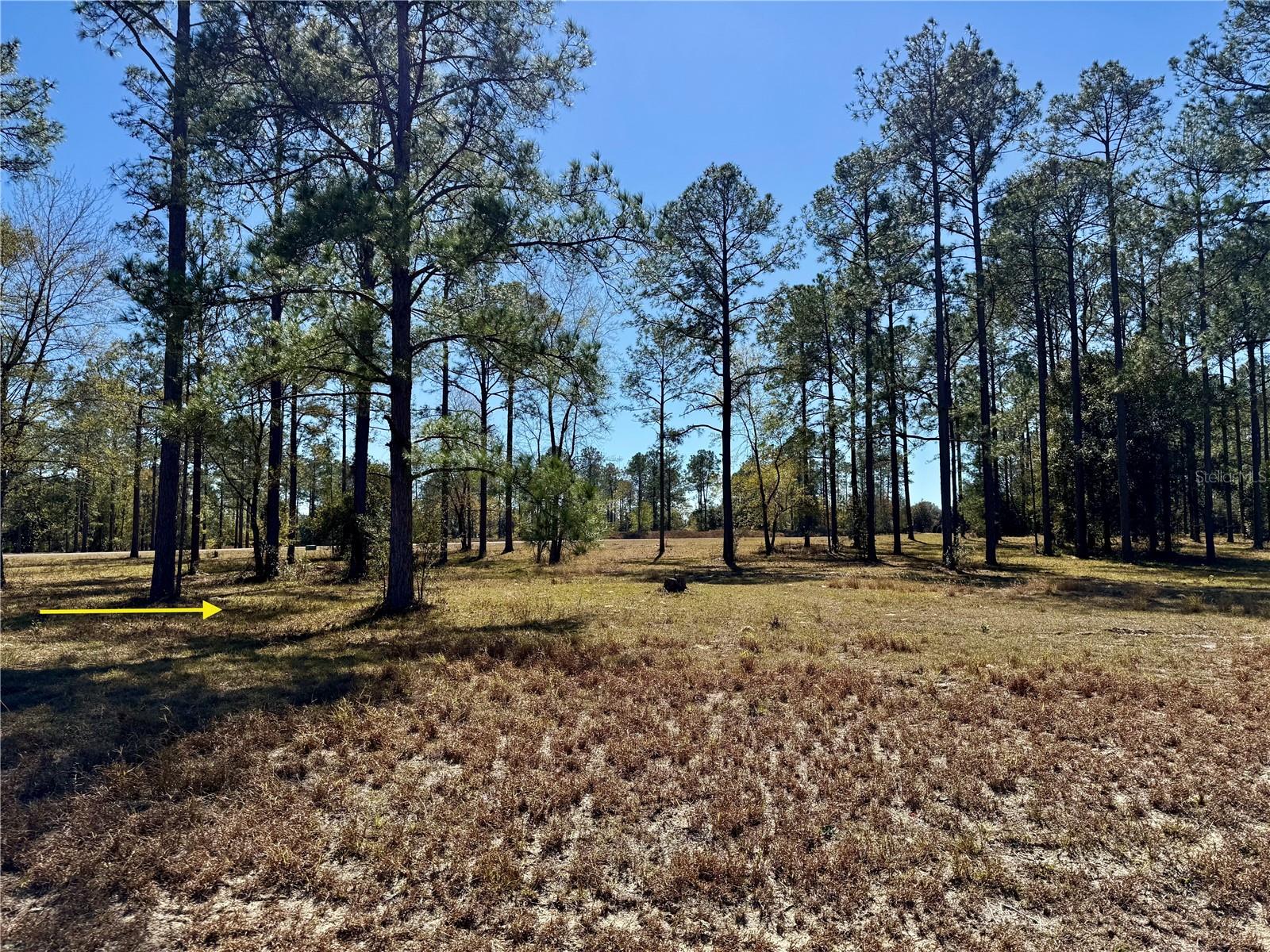 LAKEWOOD RANCHES SUB - Land