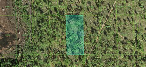 60 E STREET LAKE WALES FL 33898