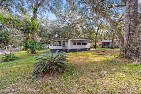 Photo of 3617 Cr 406, Lake Panasoffkee, FL 33538 (MLS # W7881279)