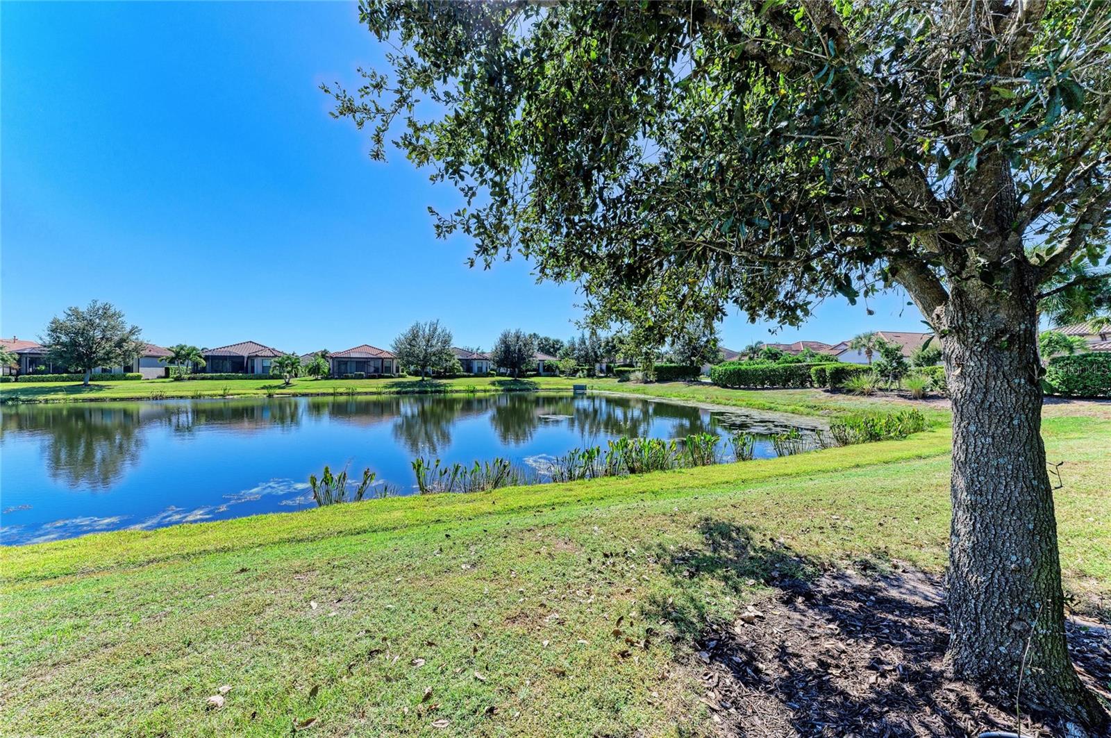 ESPLANADE PH III PT REP - Residential