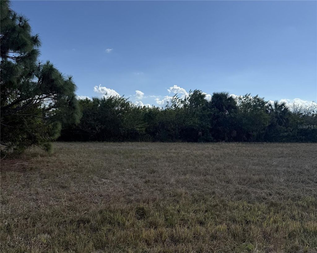 Photo of 14033 Torpedo-Ray Place, Placida, FL 33946 (MLS # C7522890)
