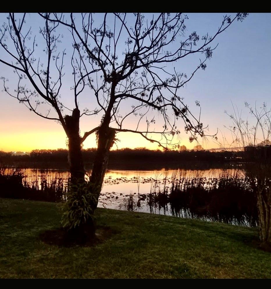 COVE AT PEARL LAKE - Residential