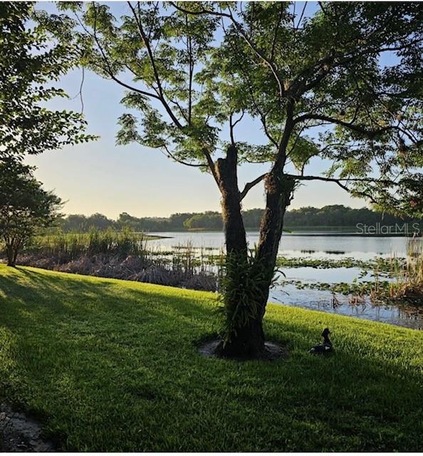 COVE AT PEARL LAKE - Residential