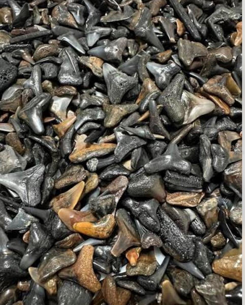 PORT CHARLOTTE SEC 093 - Residential