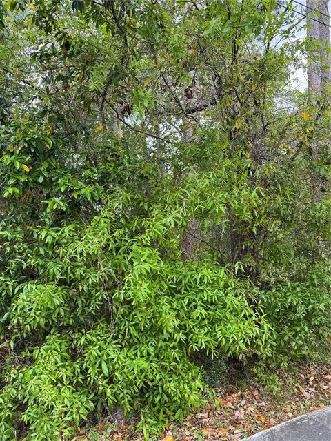 253 E HIGHBANKS ROAD DEBARY FL 32713