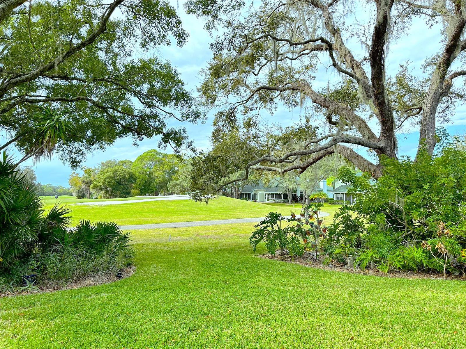 EAST LAKE WOODLANDS WOODRIDGE GREEN TWNHMS - Residential