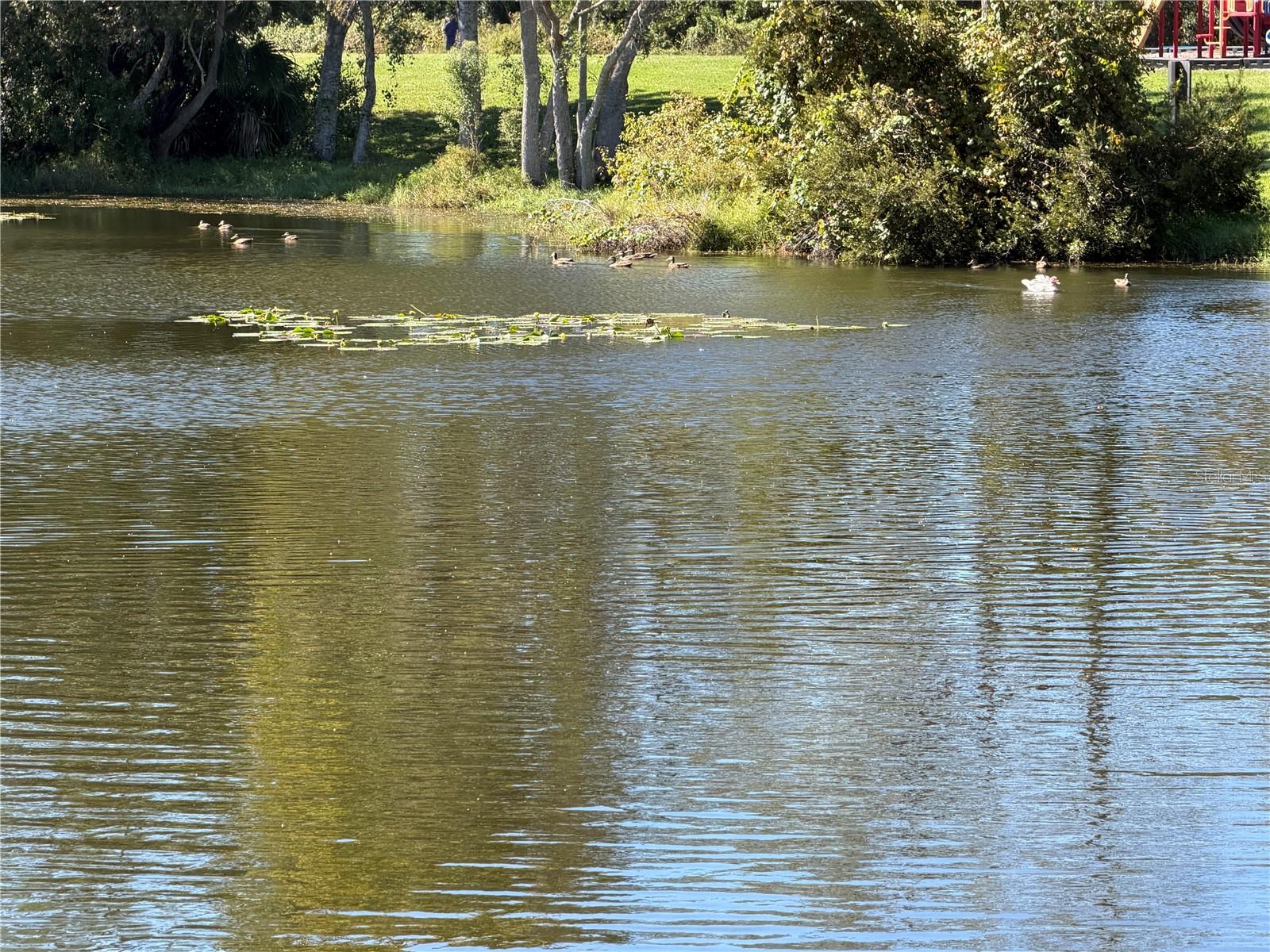 LAKEVIEW VILLAGE - Residential