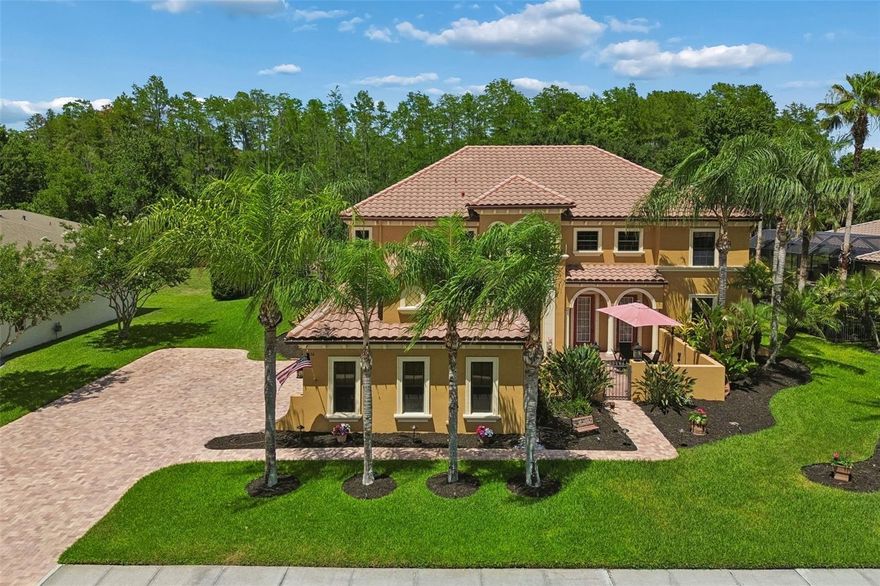 Located in the highly desirable village of Ballastone, this impressive 6-bedroom, 4-bathroom Mediterranean-style pool home with a 3-car side entry garage is ready for its next owner. Built by Mercedes Homes, the San Remo model is the largest floor plan within this exclusive enclave of just 44 homes, all situated on oversized homesites.

The primary suite, overlooking lush conservation views, and a secondary bedroom are conveniently located on the first floor. At the heart of the home is the expansive family room, featuring breathtaking views of the conservation area, pool, and spa.

The spacious kitchen is designed for both function and entertaining, featuring an 8-foot prep island, 42-inch solid wood cabinetry, under-cabinet lighting, a pot filler, and a breakfast bar. The dinette area adjacent to the kitchen is nearly the size of the formal living room, providing abundant seating for gatherings and entertaining.

The formal living room overlooks the beautifully paved courtyard, creating an inviting space for relaxation and conversation.

Upstairs, you'll find four additional bedrooms, two full bathrooms, a loft, and a dedicated media room, offering plenty of space for family and guests.

Owner upgrades and custom touches throughout the home include crown molding, chair rail molding, wood blinds, oversized window treatments, custom paint selections, and upgraded light fixtures.

An A-rated elementary school is a short distance outside the neighborhood gate, while the community itself offers miles of scenic sidewalks and lush natural surroundings, conveniently tucked behind neighborhood shopping along SR 54. Residents enjoy easy access to abundant shopping and dining options, with Tampa International Airport just 30–40 minutes away and quick access to I-75, I-275, and the Suncoast Parkway.

This home offers the perfect blend of space, elegance, and convenience in one of the area's most sought-after communities.