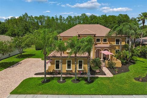 Photo of 3654 Ballastone Drive, Land O Lakes, FL 34638 (MLS # TB8510166)