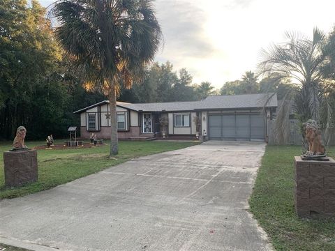 Photo of 9094 N Hammond Way, Citrus Springs, FL 34434 (MLS # OM711695)