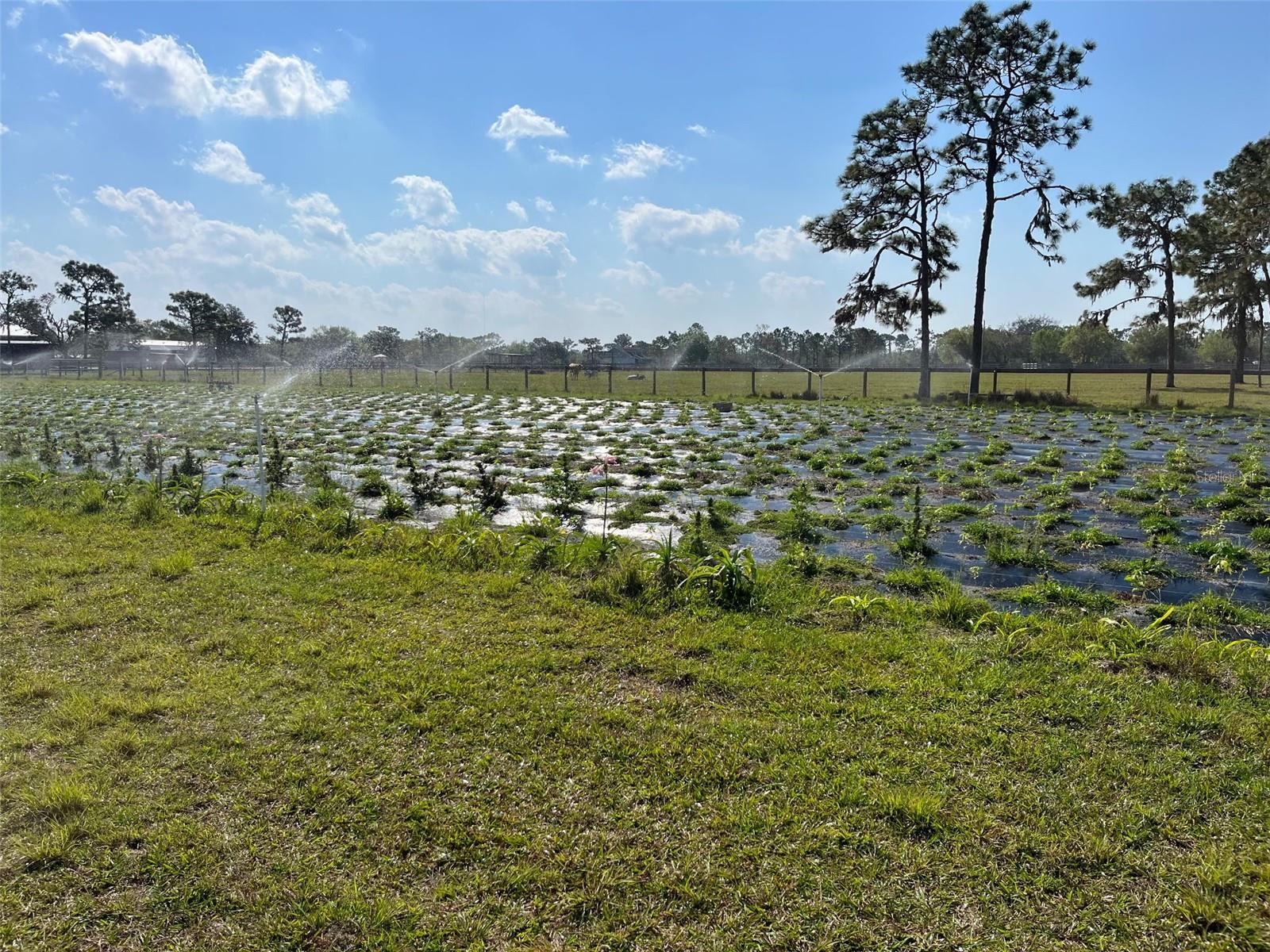 WATERBURY TRACTS CONTINUED - Land