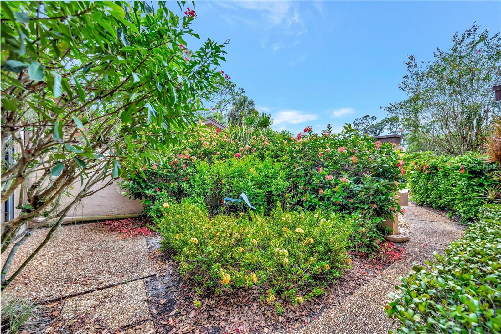 HAMMOCKS - Residential