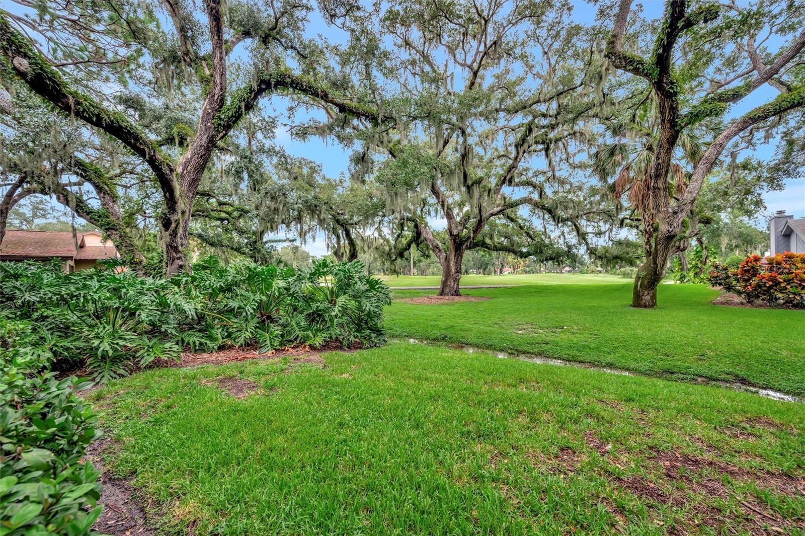 HAMMOCKS - Residential